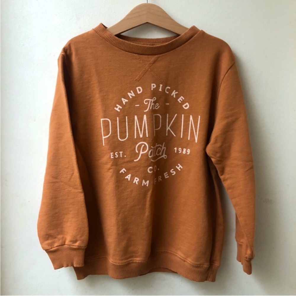 🆕 June + Grey Pumpkin Patch Sweatshirt